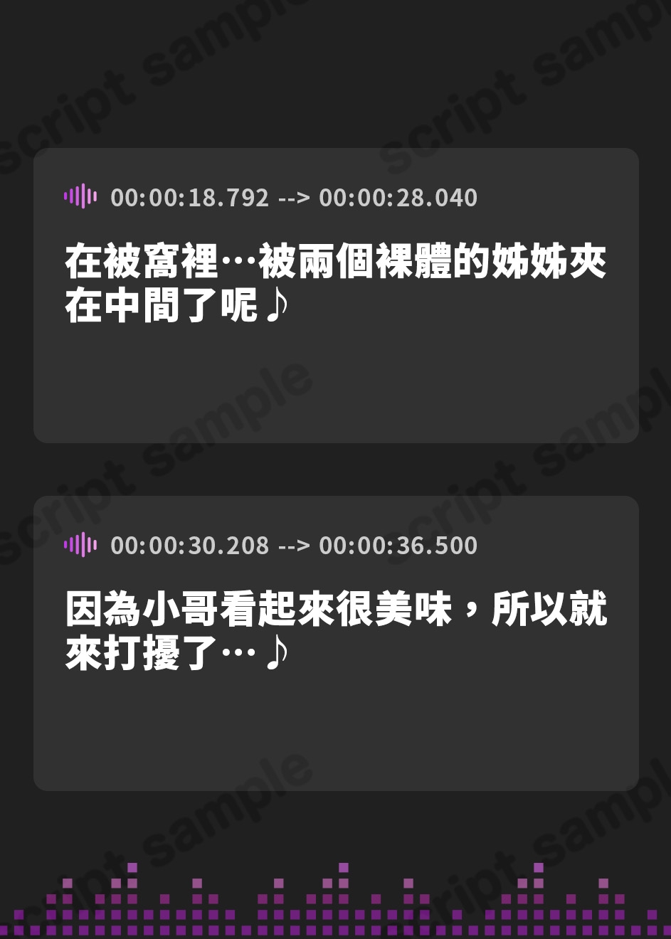 【繁体中文版】サキュバスお姉さんたちのねっとり添い寝搾精【全編吐息】