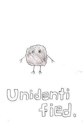 unidentified