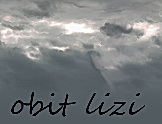 obit lizi