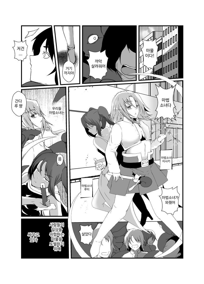 【韓国語版】仲良し魔法少女コンビは悪魔の手によりふたなり友情崩壊。