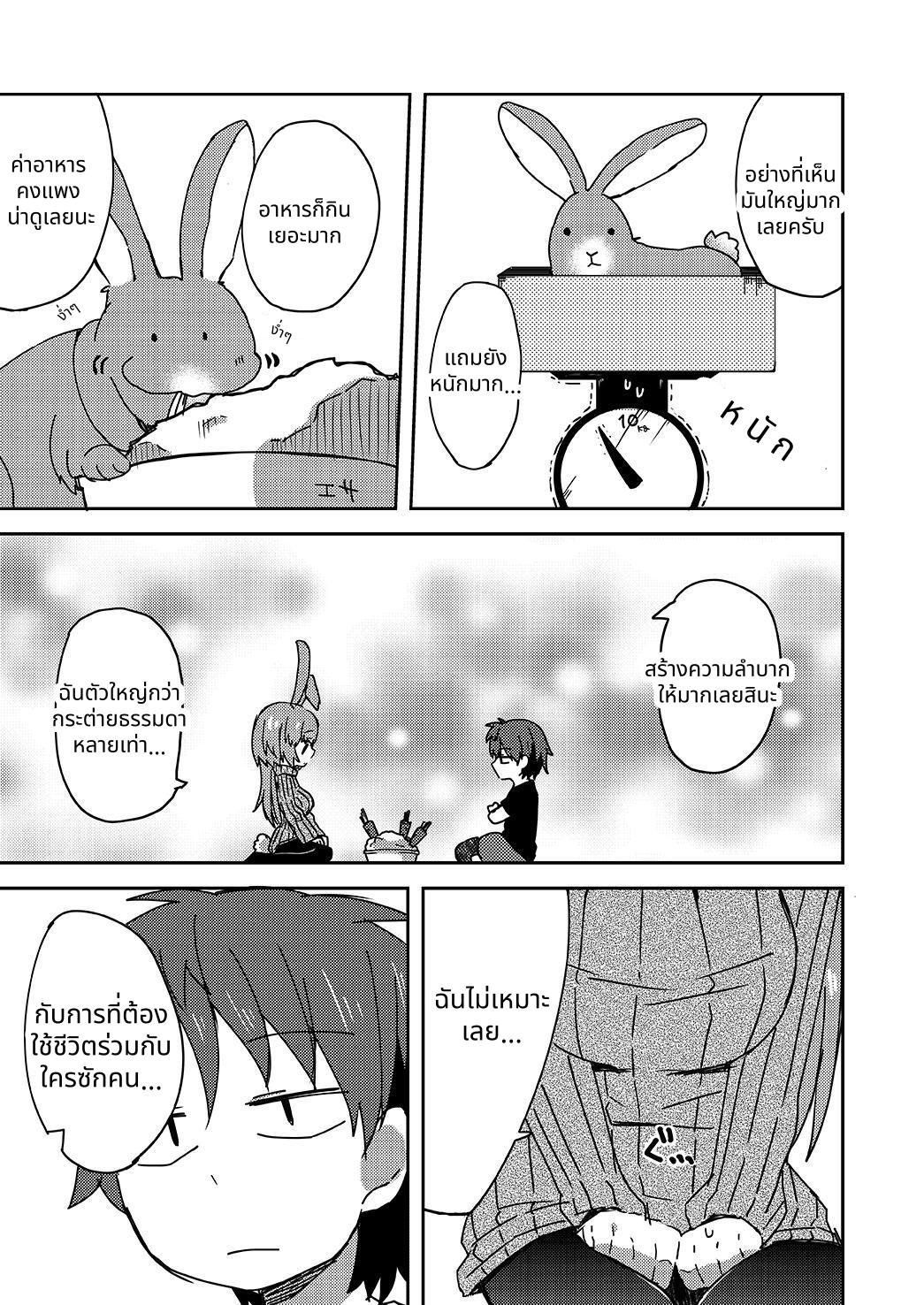 【タイ語版】返品うさぎ