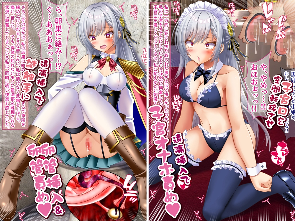 変態TS女騎士 逆レ○プして子宮オナホになる