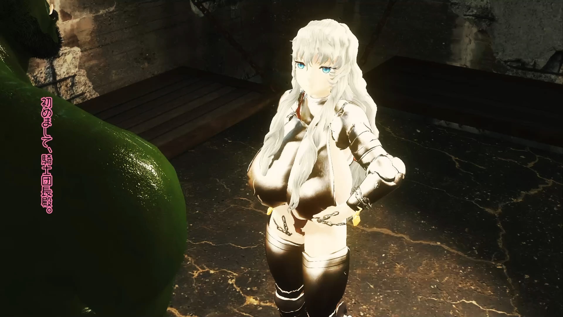 騎士団長アリア敗北オークNTR妊娠性奴○