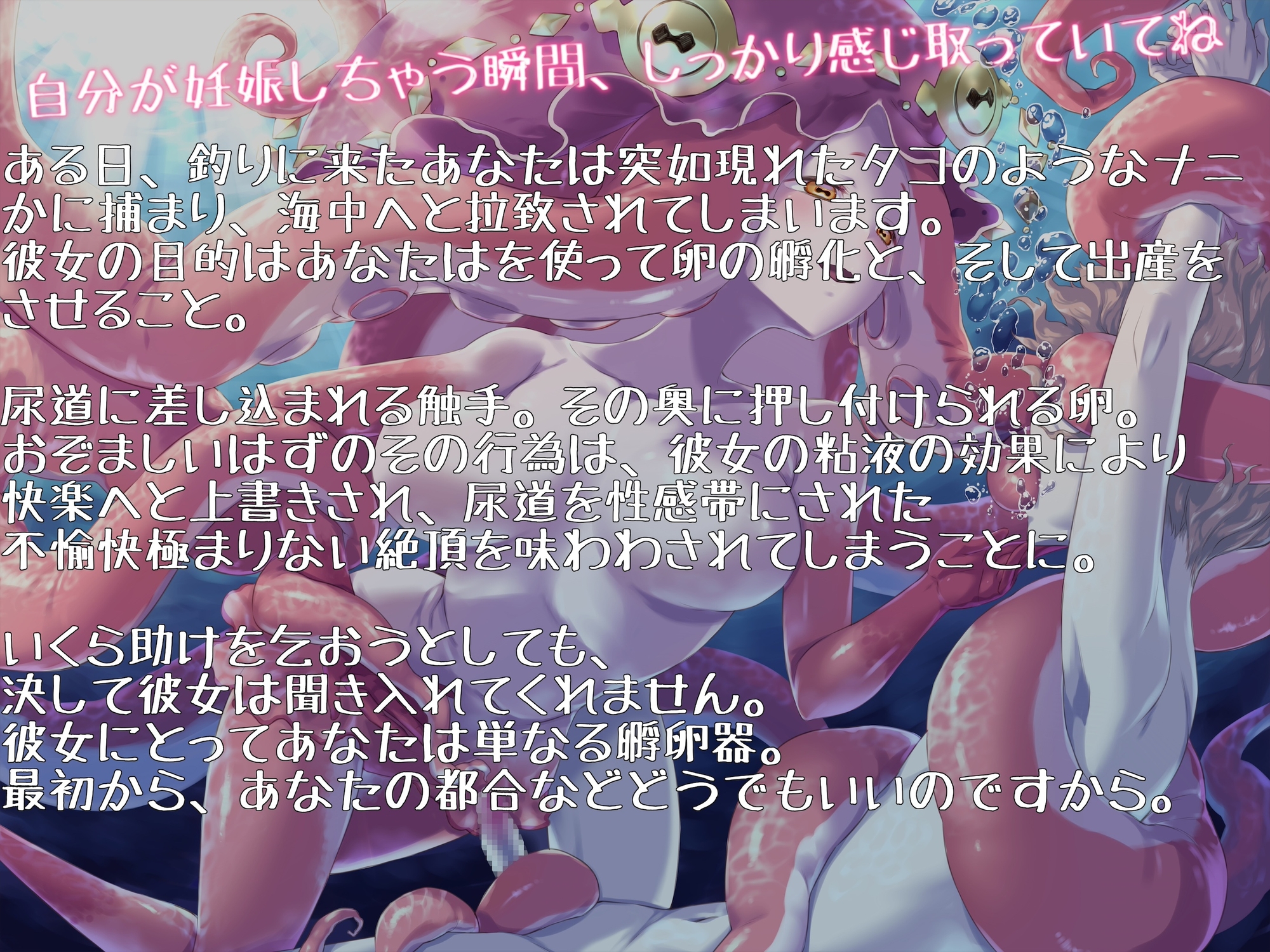 タコ娘の尿道内強○托卵孕ませ交尾 〜私専用の孵卵器にしてあげる〜
