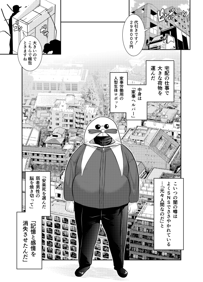 品名「家事ヘルパー」代引き298,000円