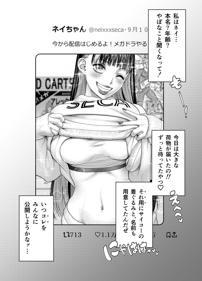 品名「家事ヘルパー」代引き298,000円