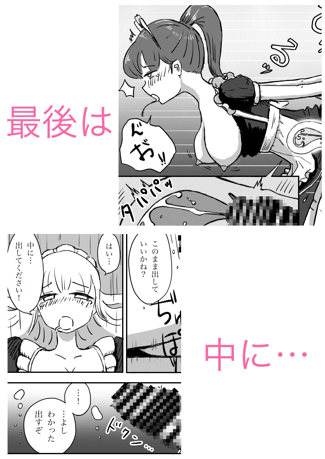 メイド観察日記～性交の記録～