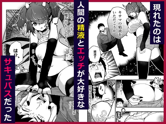 悪魔に仕事を頼もうとしたらサキュバスが来た。
