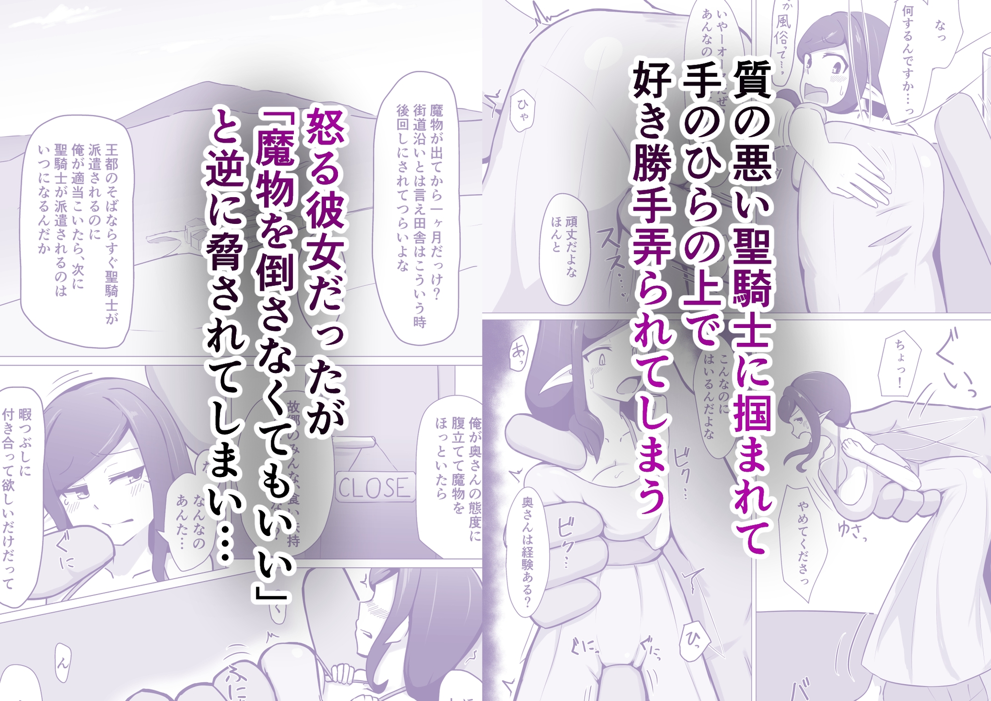 人妻フェアリーが人間♂に寝取られる話