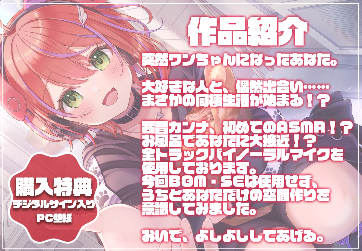 こんな「ワンっ生」も悪くない！?