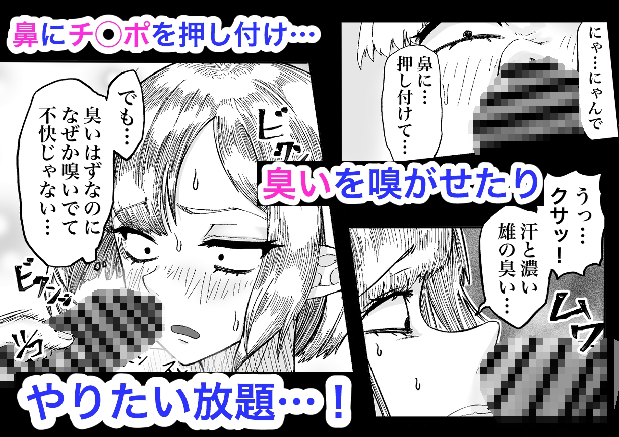 風呂嫌いな地味顔エルフの娼婦を騙して嫁にする