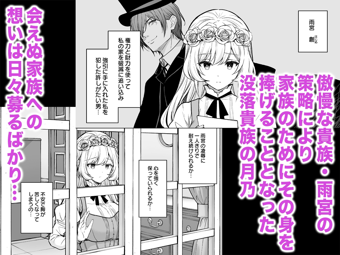 隷嬢の小夜曲<セレナーデ>第二楽章
