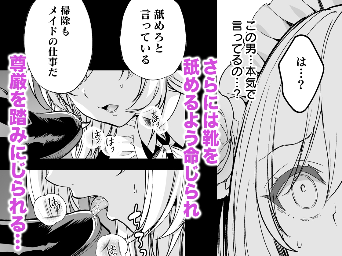 隷嬢の小夜曲<セレナーデ>第二楽章