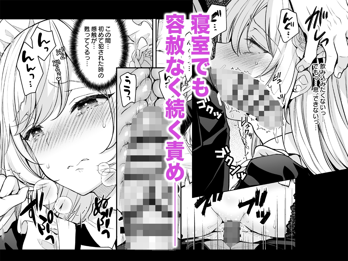 隷嬢の小夜曲<セレナーデ>第二楽章