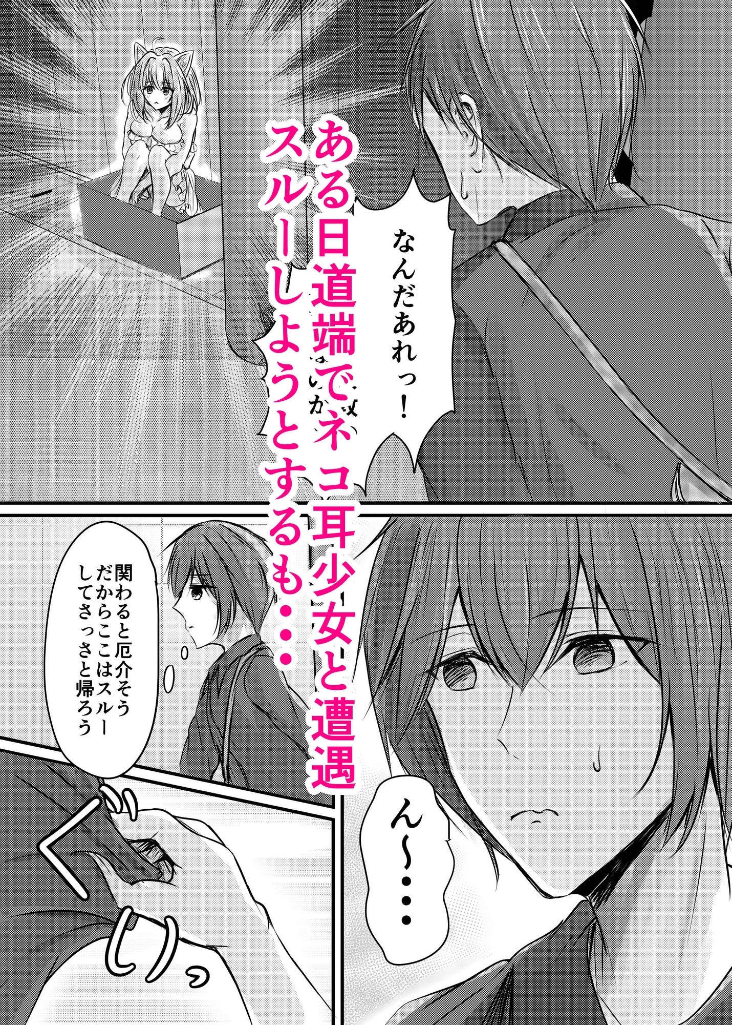 ハコのネコ