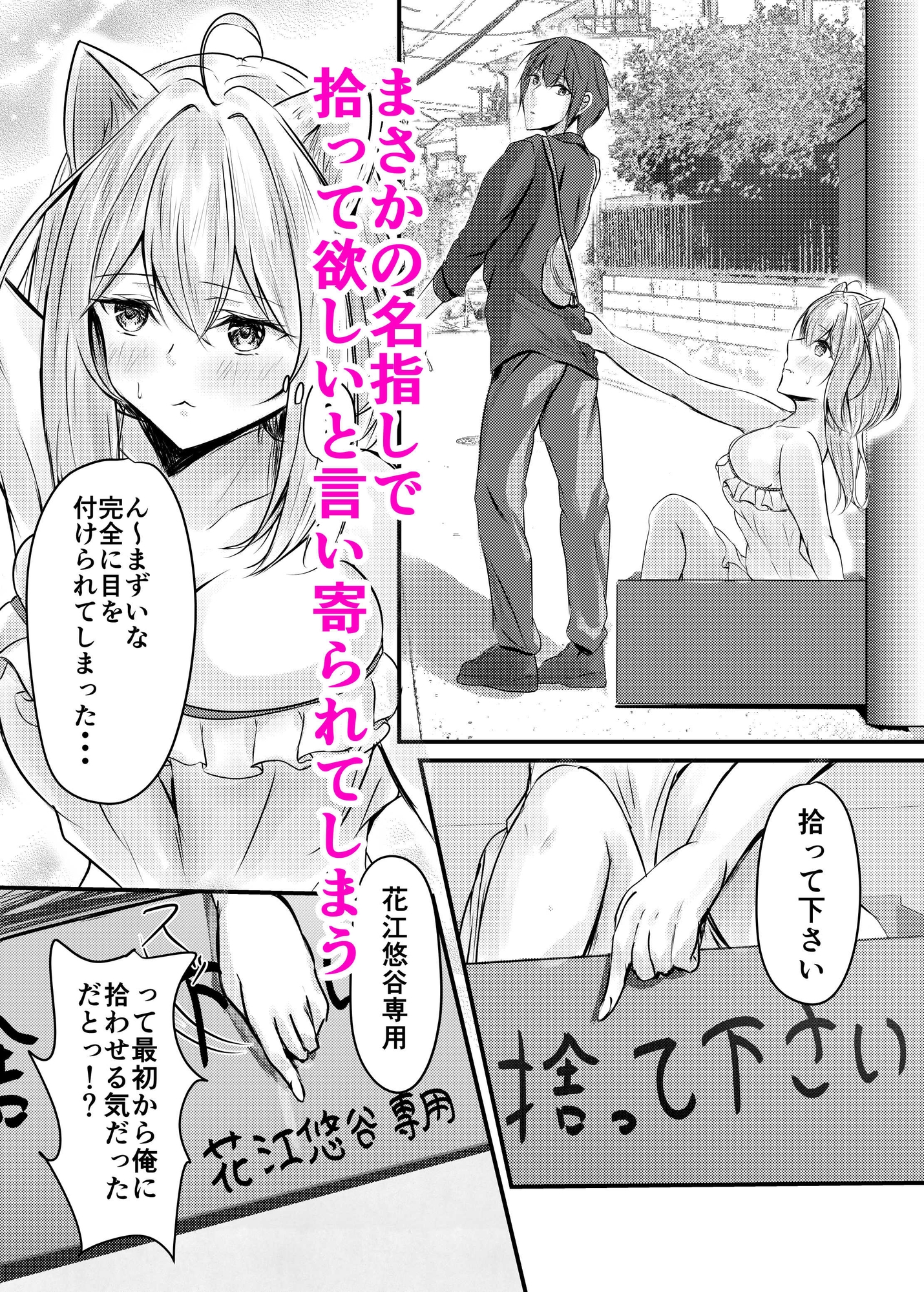 ハコのネコ