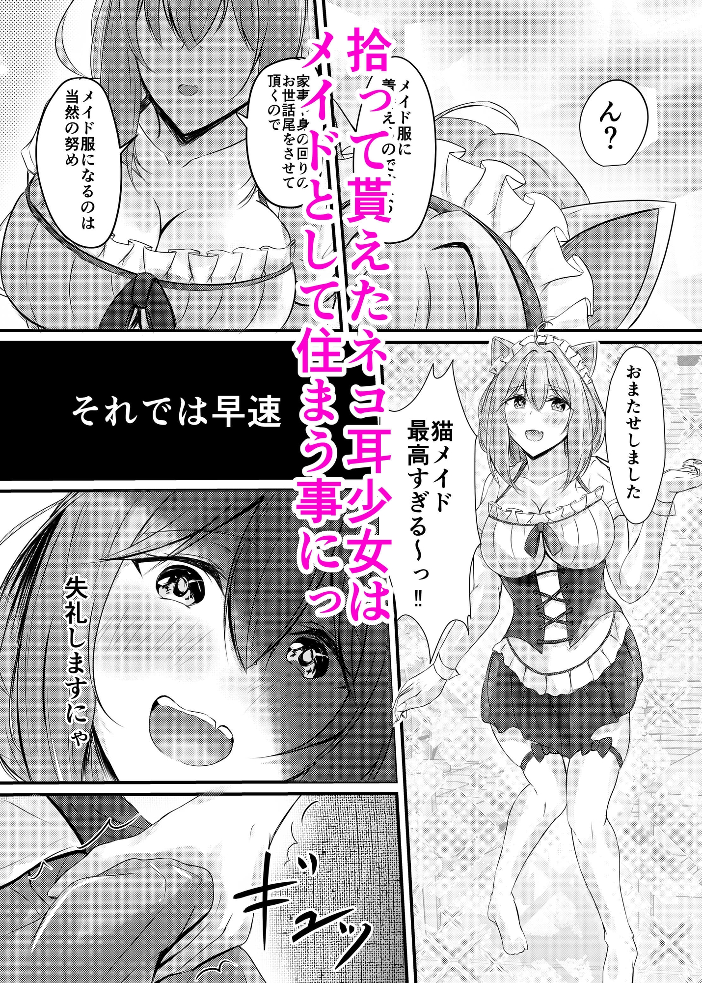 ハコのネコ