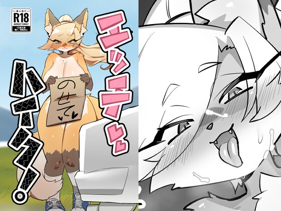 エッチハイク！