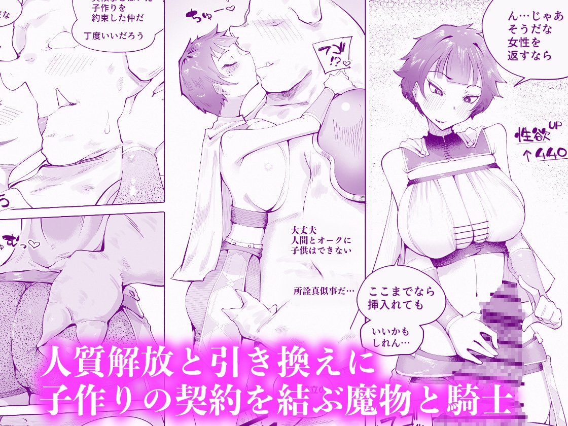 呪われた雌騎士がオークに堕ちるまで【5/10 発売予定】