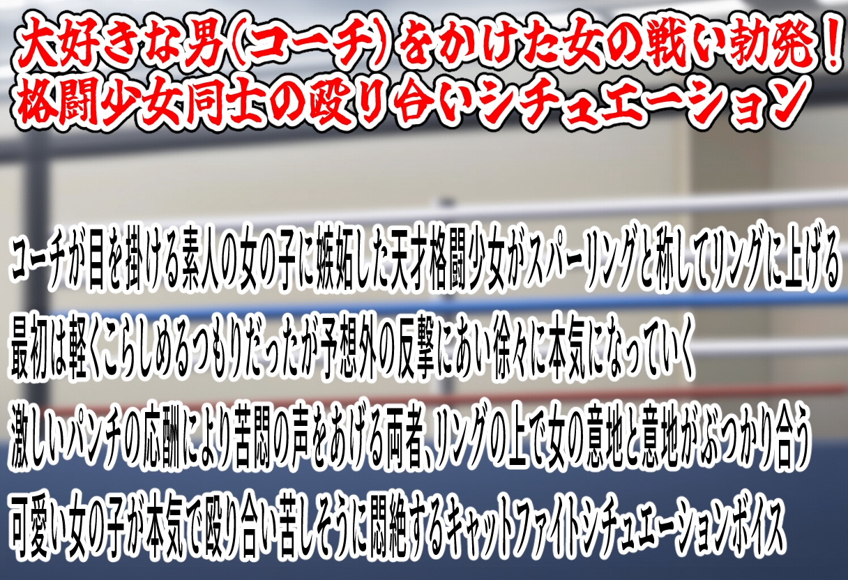 (女の子殴り合い特化ボイス)キャットファイト