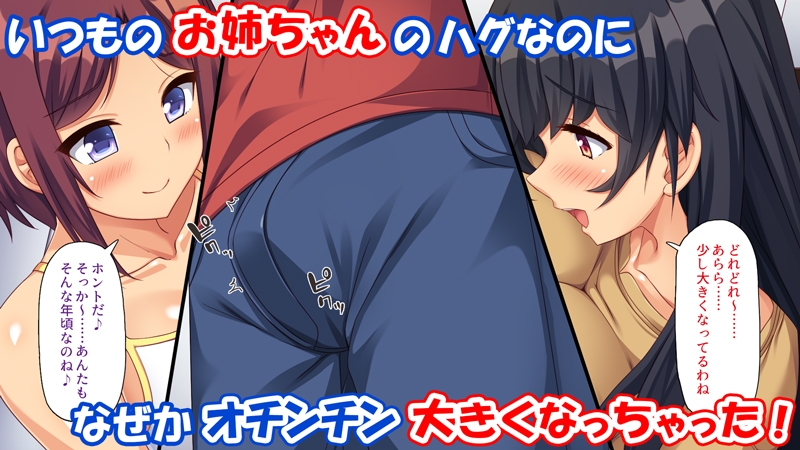 お姉ちゃんが教えてあげる♪〜ブラコン巨乳姉妹の甘エロ保健体育〜