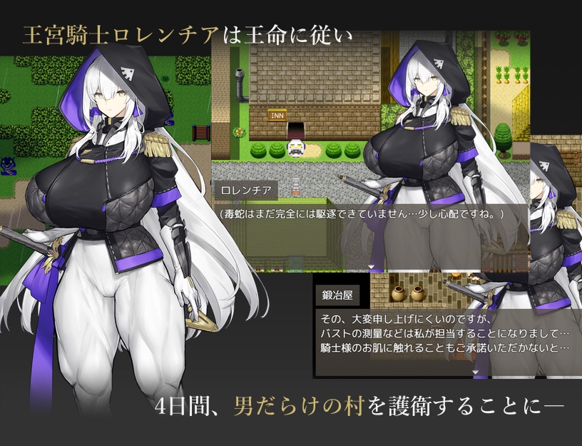 王宮騎士のリスクヘッジ