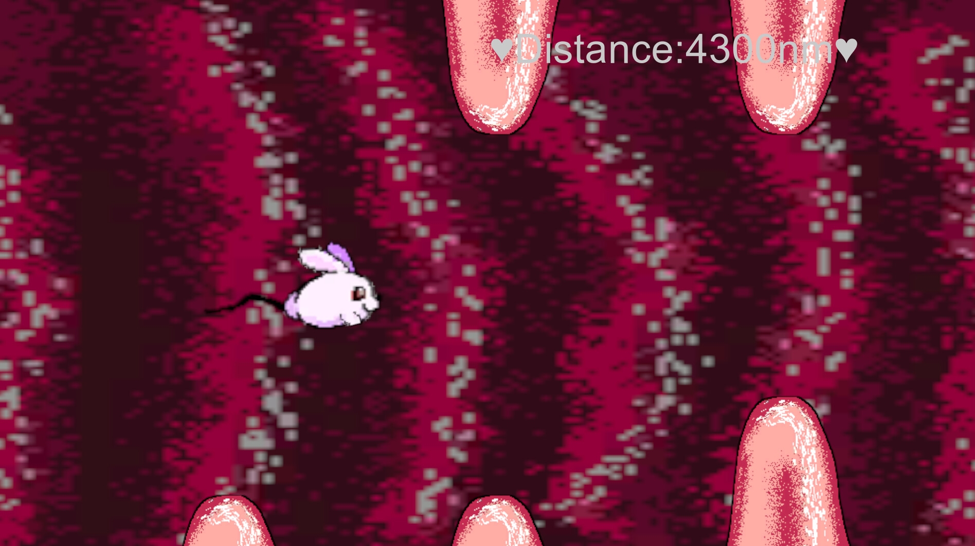 泳げウサギ