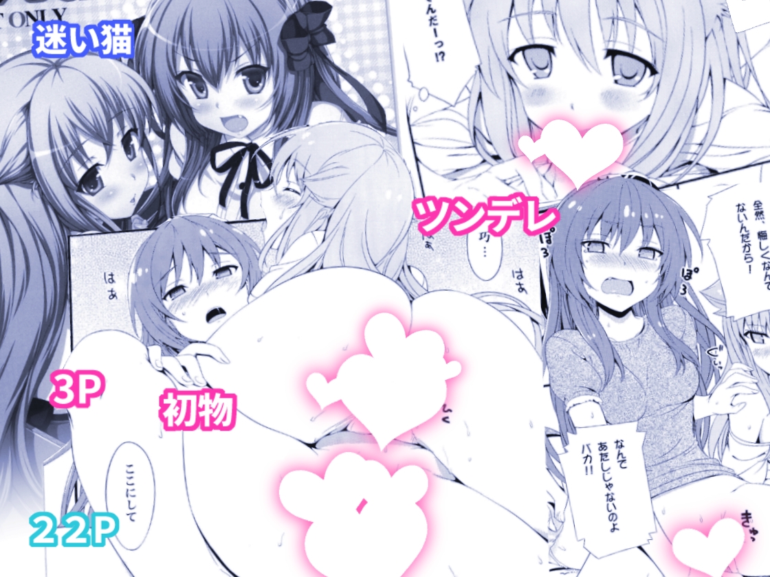 ねこはまんまがうつくしい 最初のまとめ本