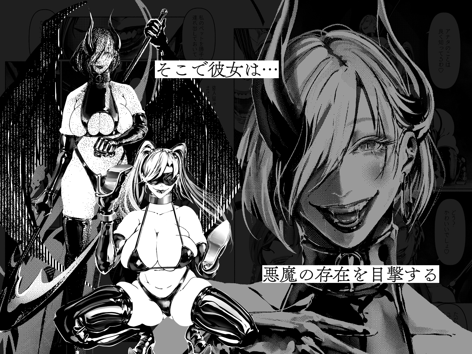 悪魔の調教