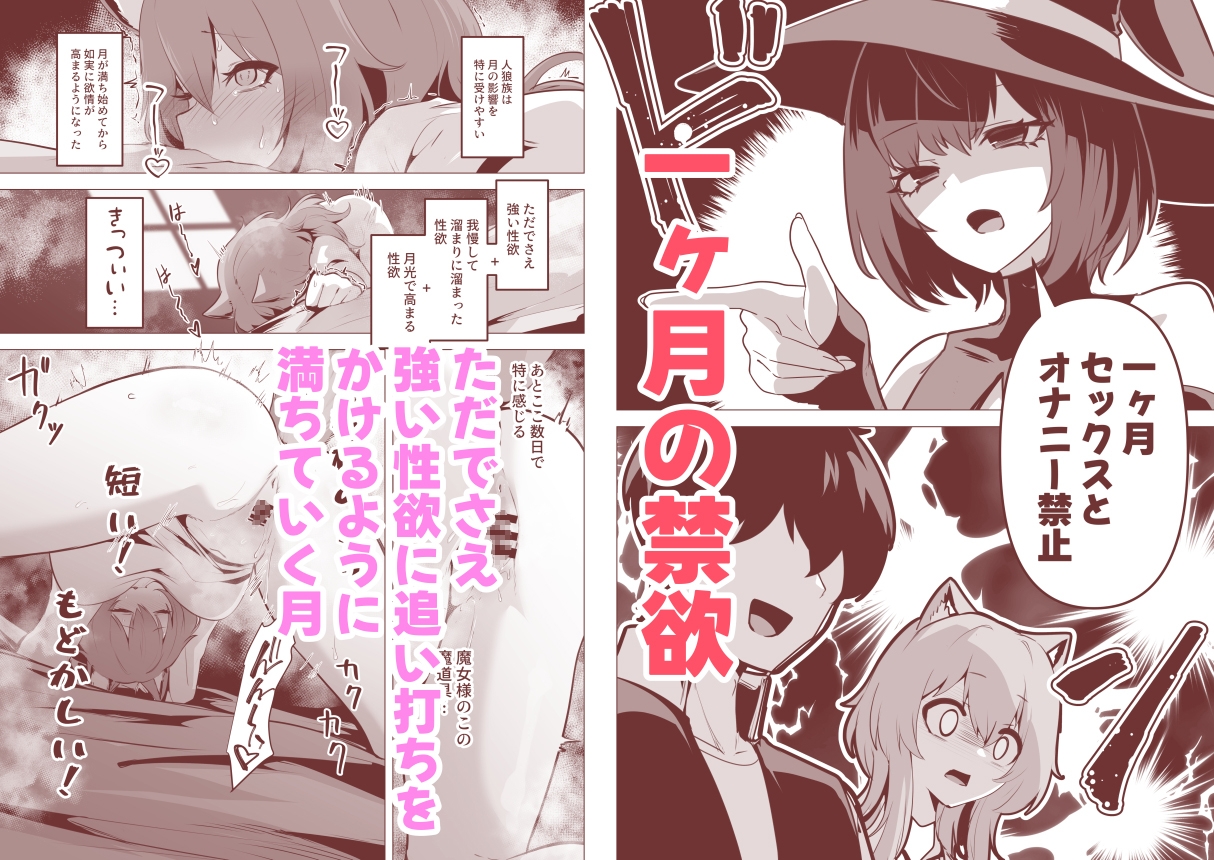 ホンネを聞かせて2