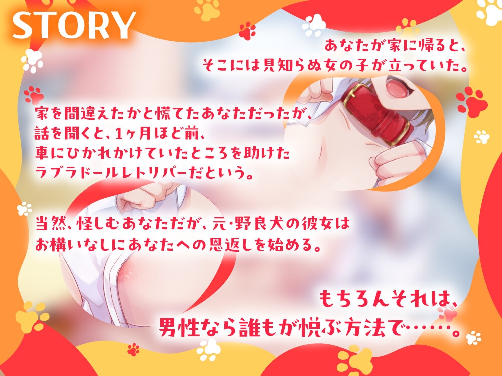 【新設ケモ耳サークル】貴方のことが大好きな後輩系従順犬耳娘と甘蕩濃厚耳舐めぺろらぶエッチ【CV.白雪ふわり】