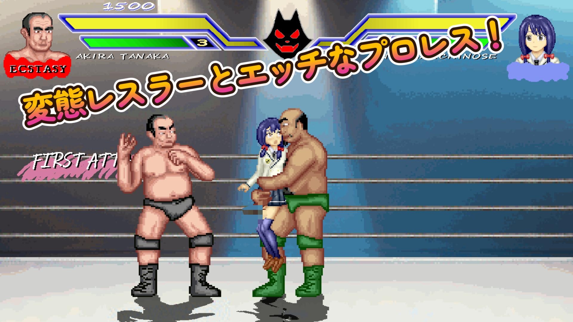 おしとやかなお嬢様「ナギサ」WOLF〜エッチなアップデート型格闘ゲーム〜 追加キャラ