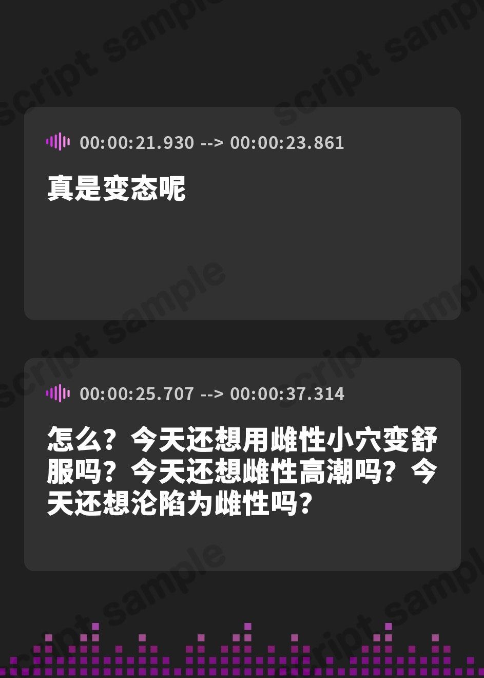 【簡体中文版】メス堕ち志願者のための人格改造責め調教