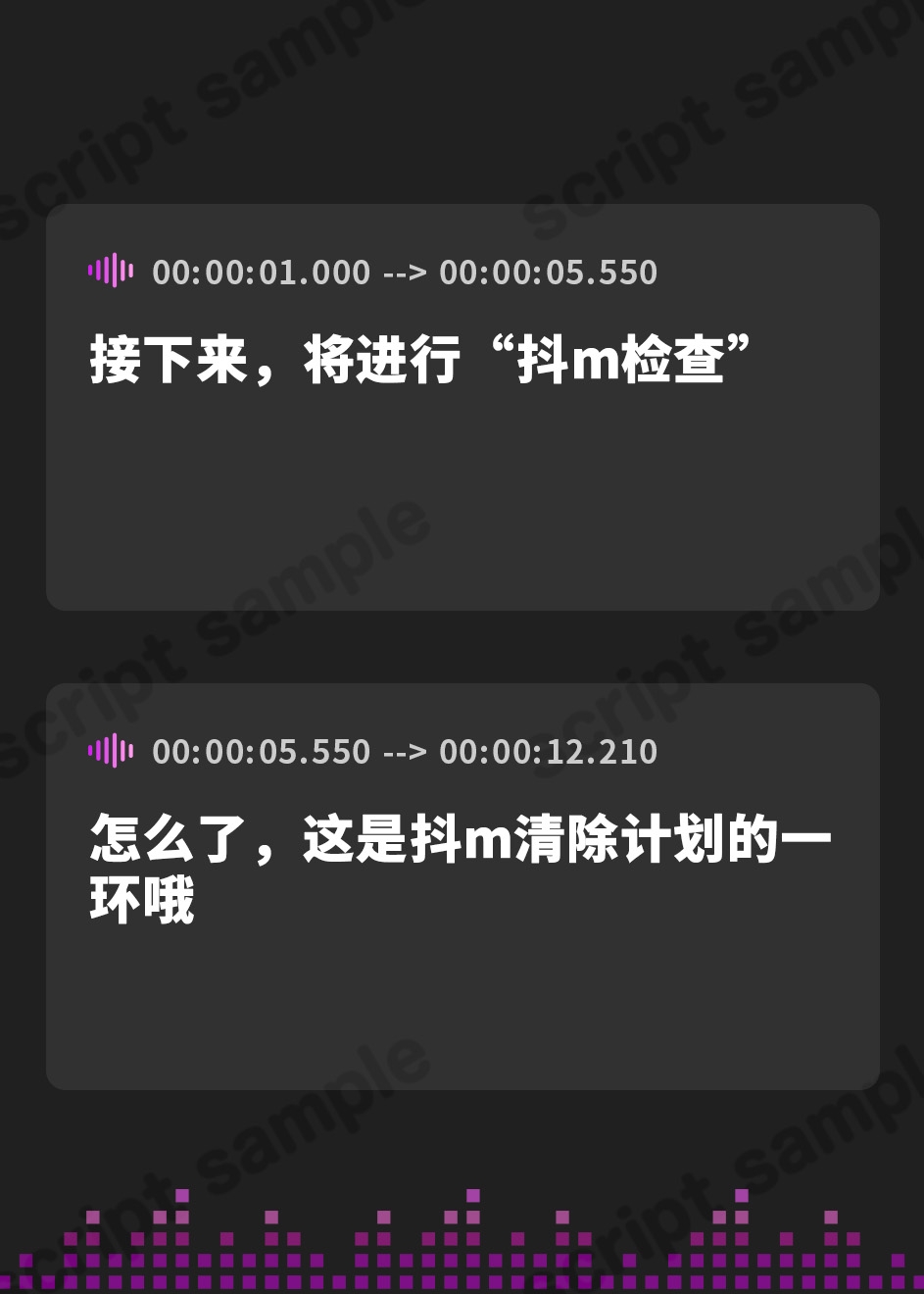 【簡体中文版】マゾ排除プログラム 事務的で豊満な肉体の執行官にマゾ否定を強○される音声