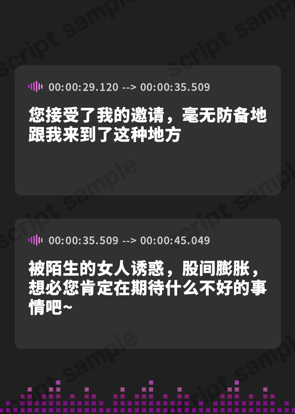 【簡体中文版】マゾ排除プログラム 事務的で豊満な肉体の執行官にマゾ否定を強○される音声