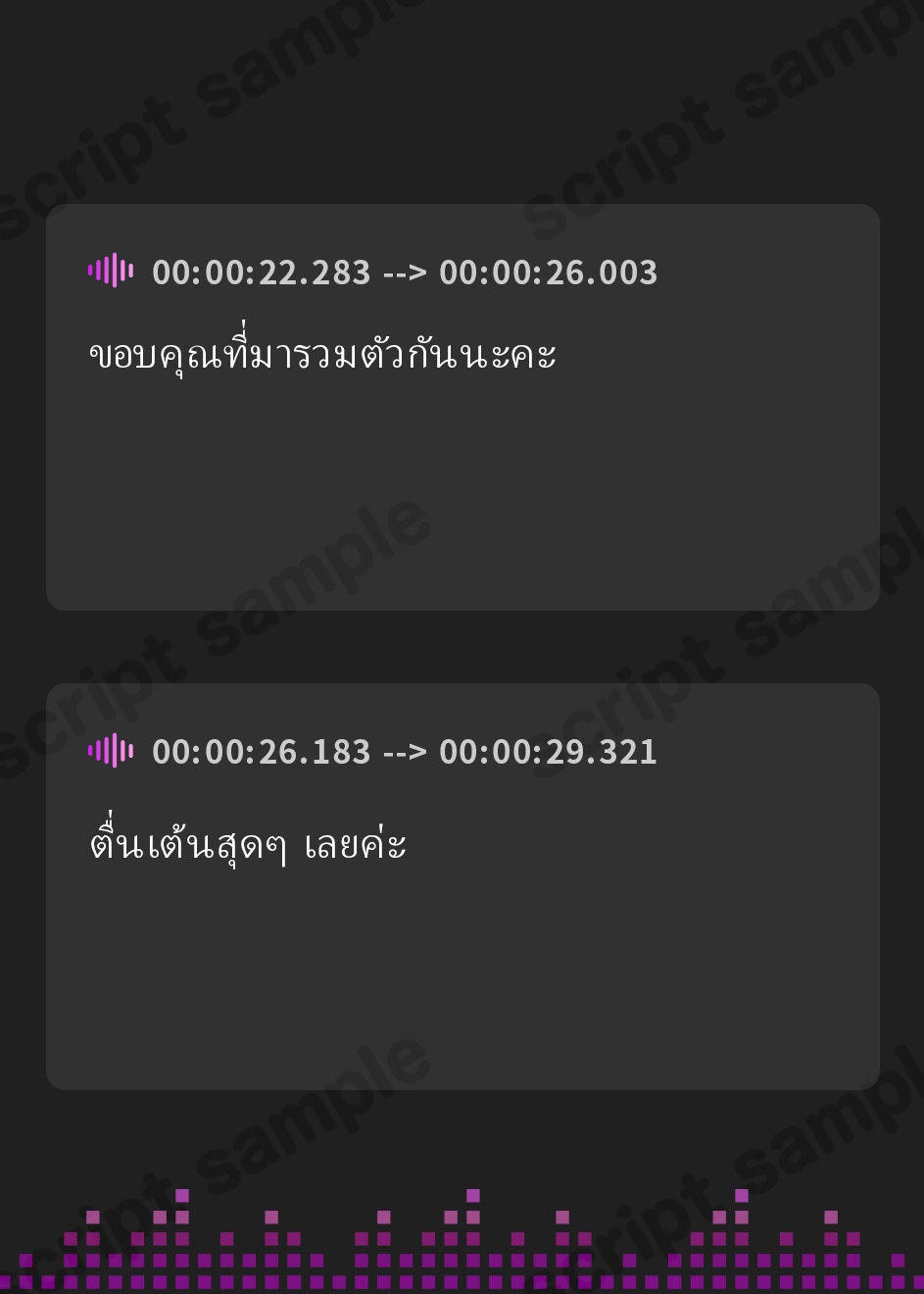 【タイ語版】強○ピストンでイキオホる。