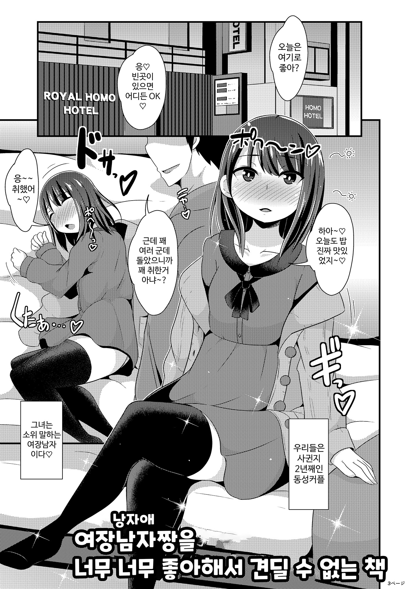 【韓国語版】女装子(オカマ)ちゃんが好きで好きでたまらない本