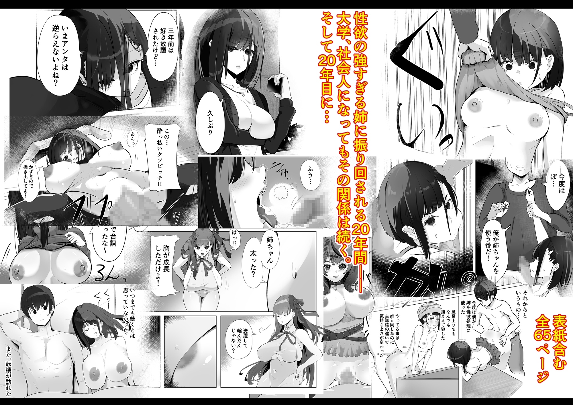 姉と20年間セックスした話