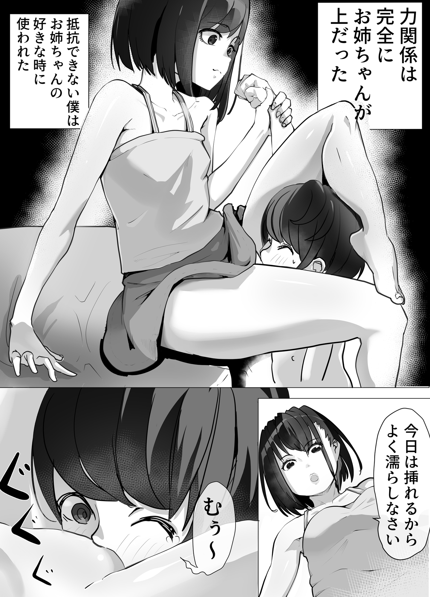 姉と20年間セックスした話