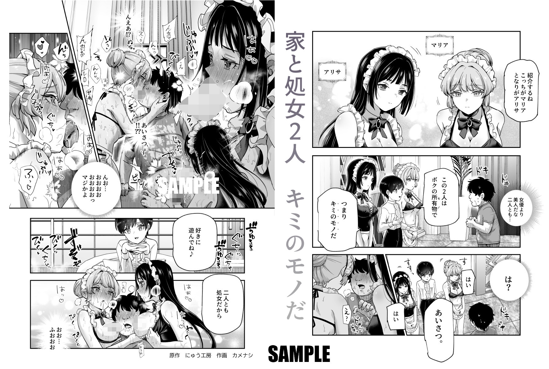 ボクの人権をあげるEX 学校で一番モテて金持ちで天才のエリートが誕生日プレゼントに人権をくれた話(しかも女)