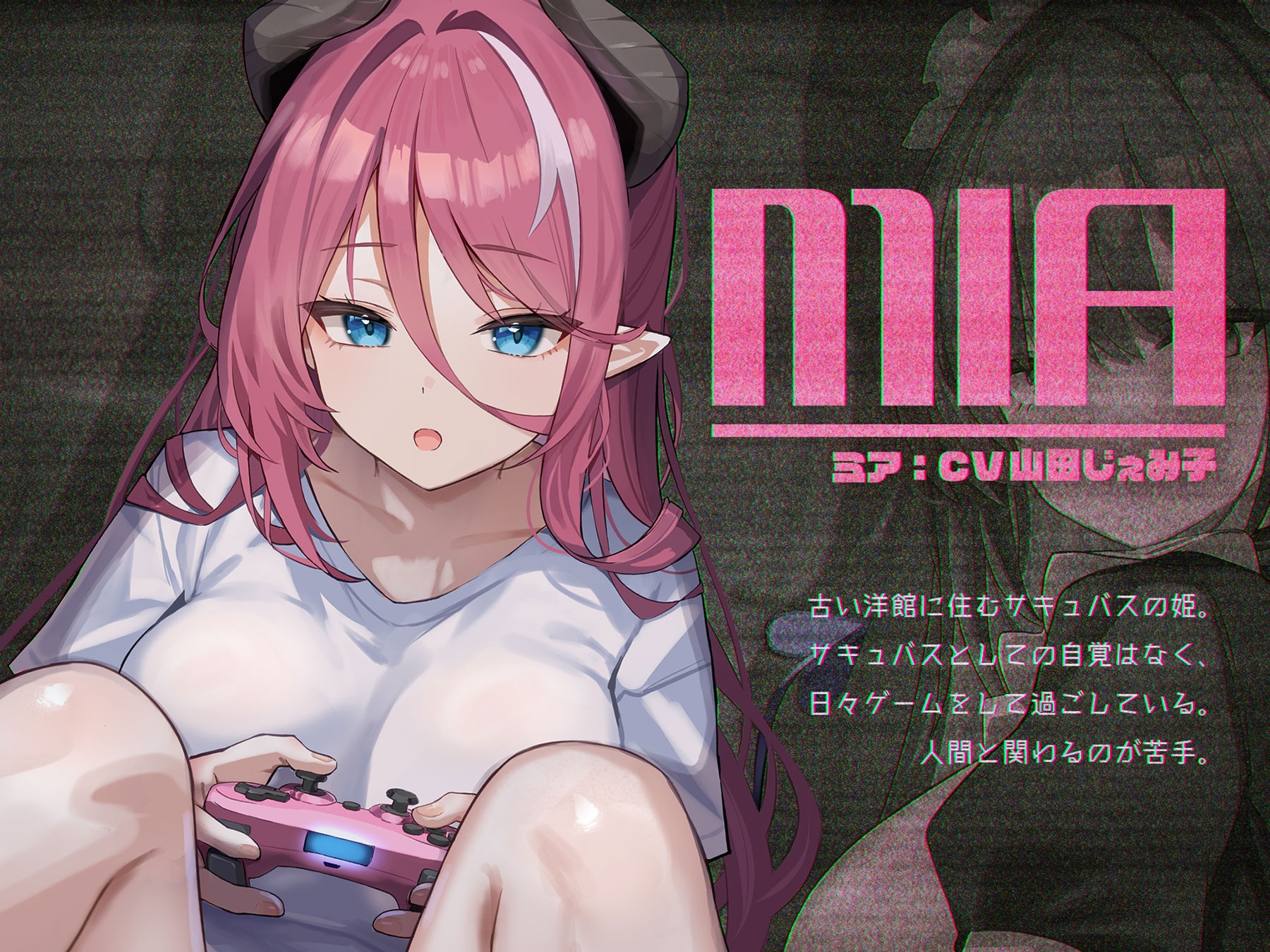 ゲームにしか興味がないサキュバスの姫【KU100】