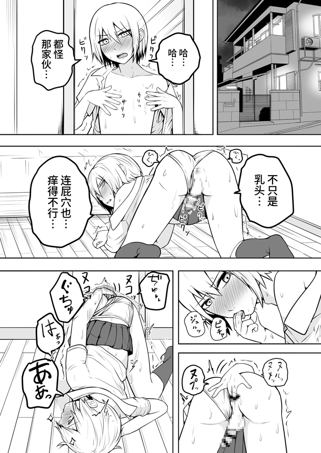 【簡体中文版】おれは女装なんてハマってない！