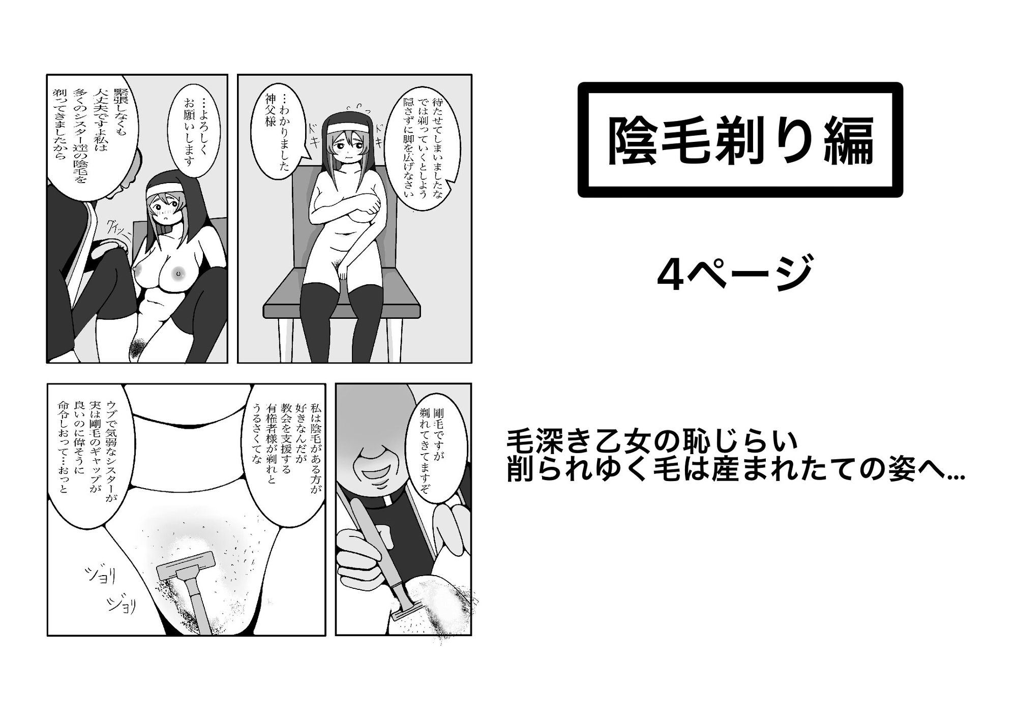 シスターの受難記録