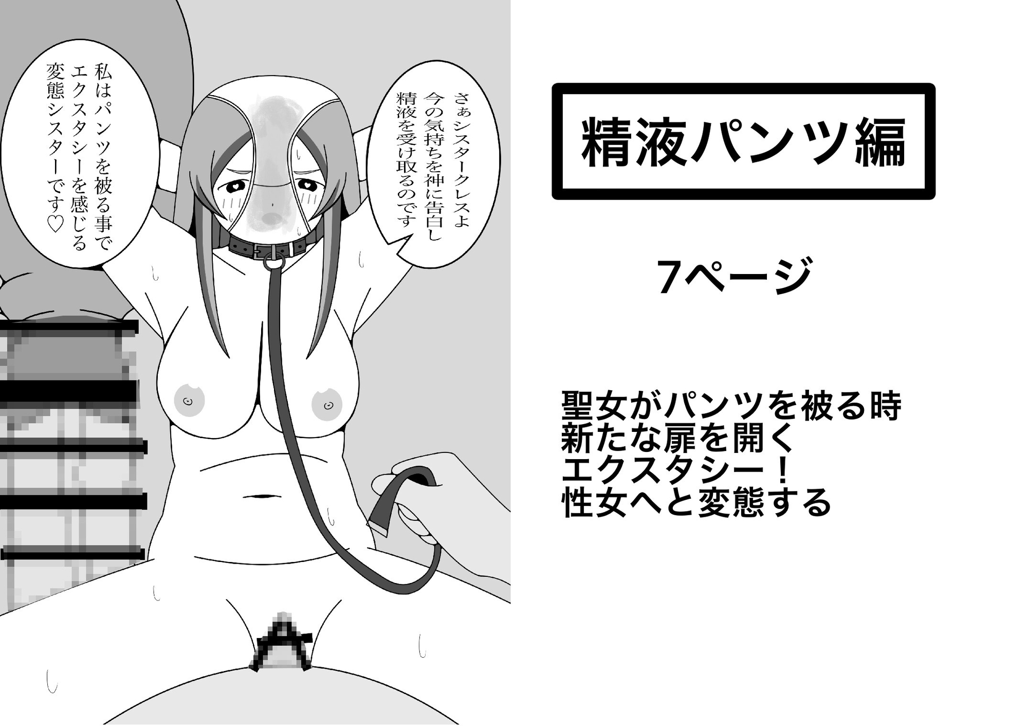 シスターの受難記録
