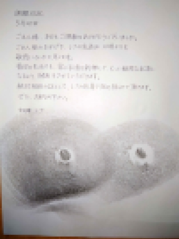 乳首開発調教(3)~鈴付きニップルクリップをつけ四つん這いにさせスパンキングパドルでお仕置きー~開発済みの乳首で絶頂する変態女(レナの調教記録~006)