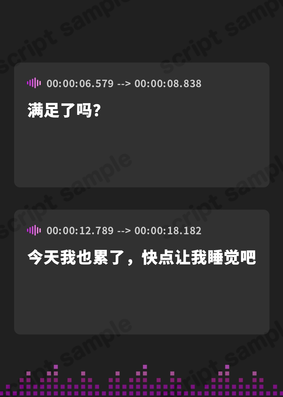 【簡体中文版】牝畜敗隷ヴァレイサ【しつけ用オホ声ガイダンス付属】