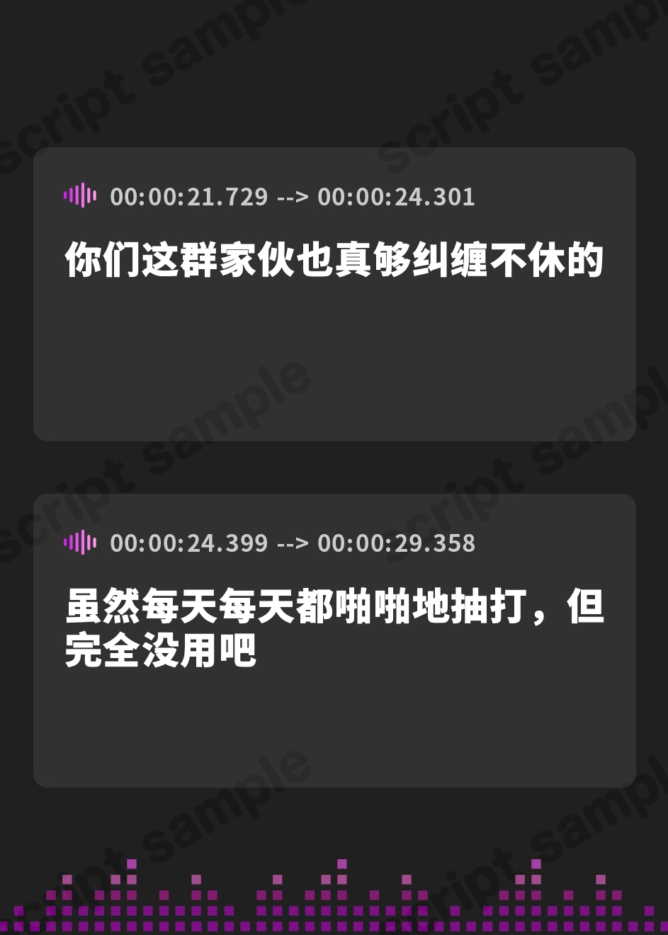 【簡体中文版】牝畜敗隷ヴァレイサ【しつけ用オホ声ガイダンス付属】