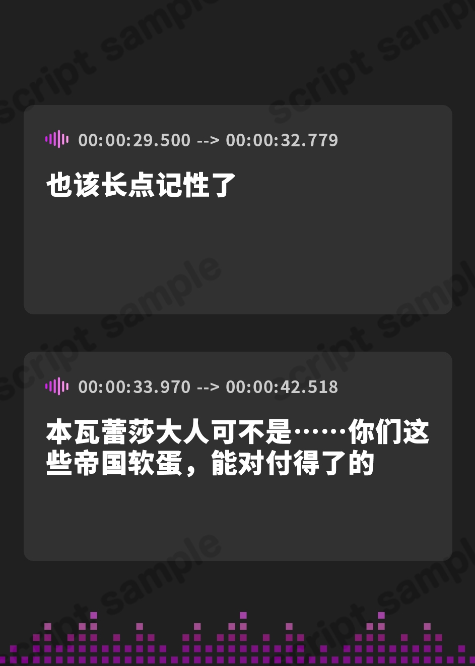 【簡体中文版】牝畜敗隷ヴァレイサ【しつけ用オホ声ガイダンス付属】