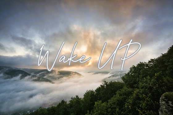 Wake up