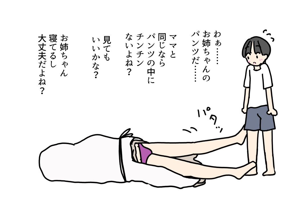 純粋で性に無知だと思ってたおいっこに挿入されちゃったお姉さん